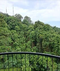 Hillview Residence (D23), Condominium #584060211